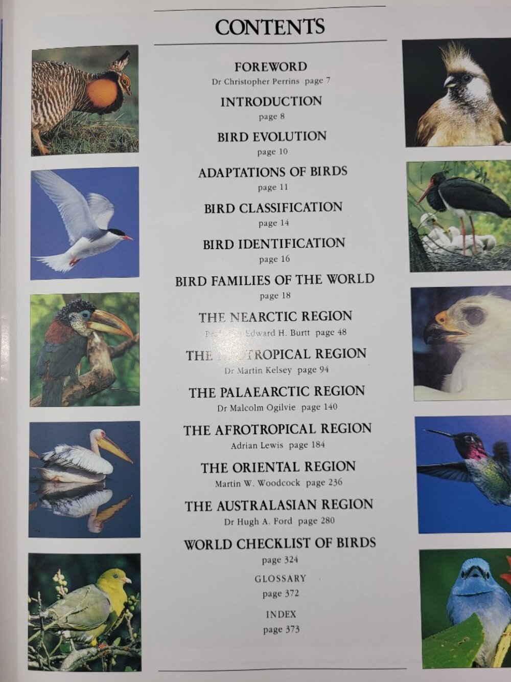 Bird Book Lot 3 Vintage Bird Books Nature Wildlife Coffee Table Books - Picture 3 of 9